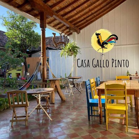 格拉纳达 Casa Gallo Pinto酒店 外观 照片