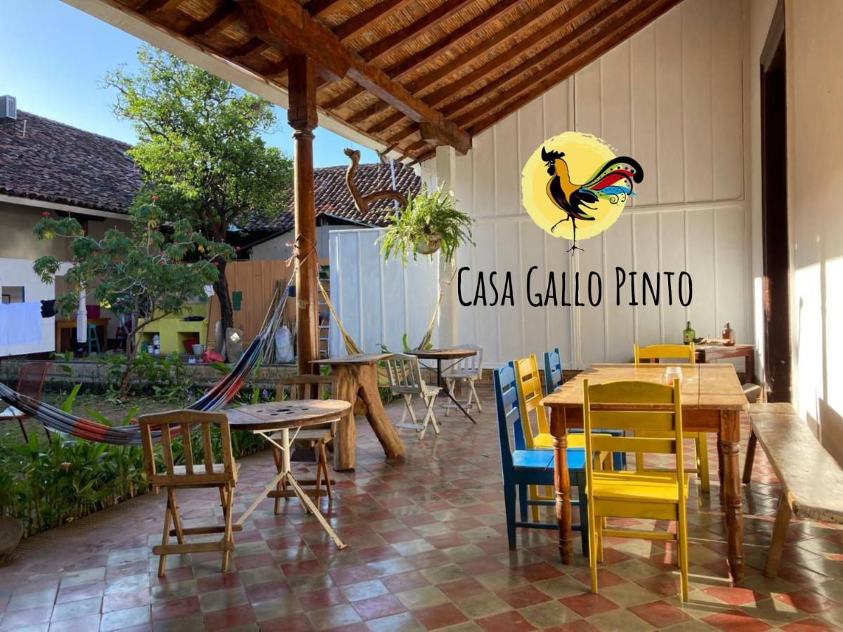 格拉纳达 Casa Gallo Pinto酒店 外观 照片